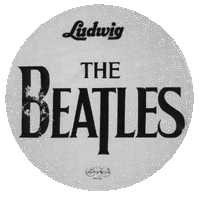 Ludwig Drumskin